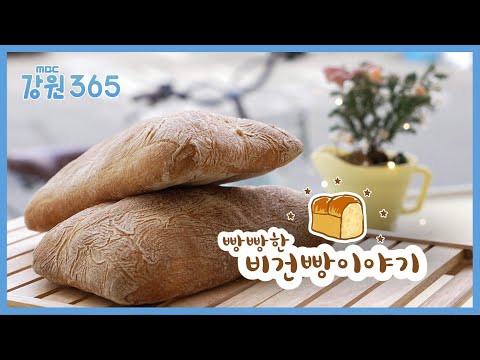 [강원365] 빵빵한 비건빵 이야기