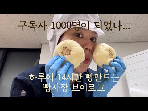 여름빵학 브이로그 | 구독자 1000명되다.. | 비건빵 | 빵집브이로그 | 제빵사브이로그