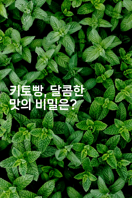 키토빵, 달콤한 맛의 비밀은?2-비건키친