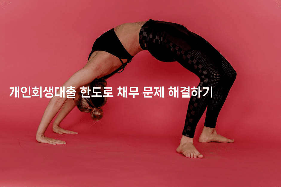 개인회생대출 한도로 채무 문제 해결하기-비건키친