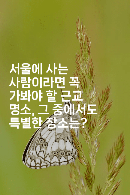 서울에 사는 사람이라면 꼭 가봐야 할 근교 명소, 그 중에서도 특별한 장소는?