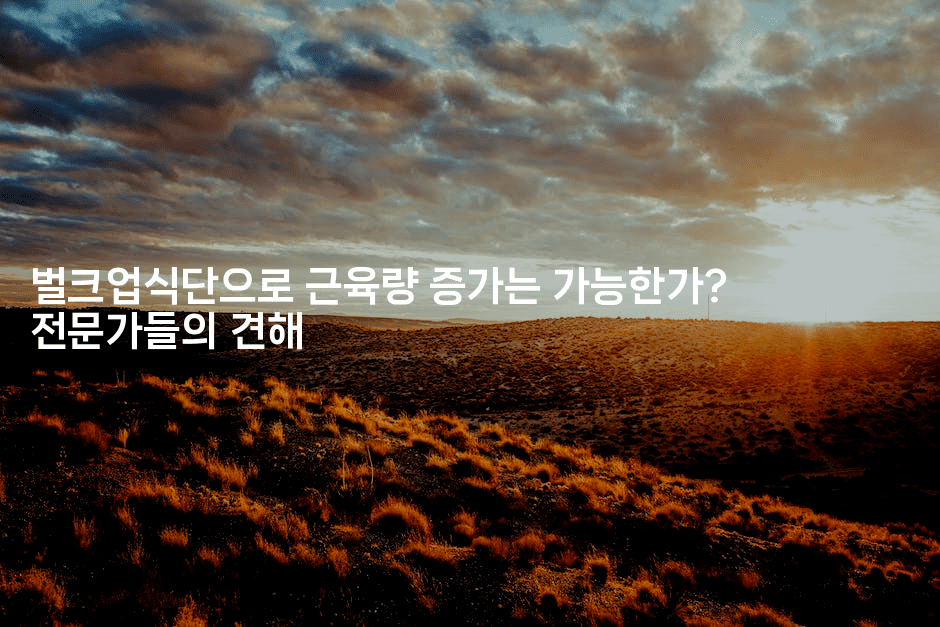 벌크업식단으로 근육량 증가는 가능한가? 전문가들의 견해-비건키친