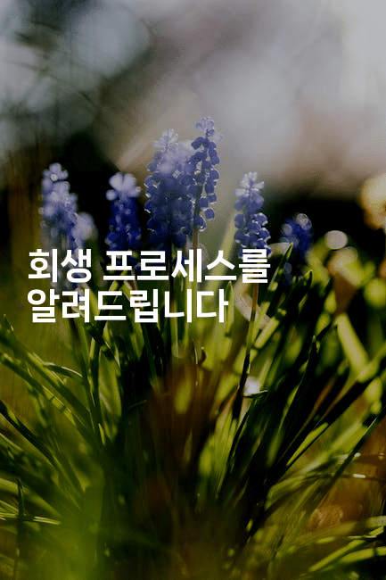 회생 프로세스를 알려드립니다