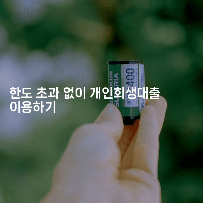 한도 초과 없이 개인회생대출 이용하기-비건키친