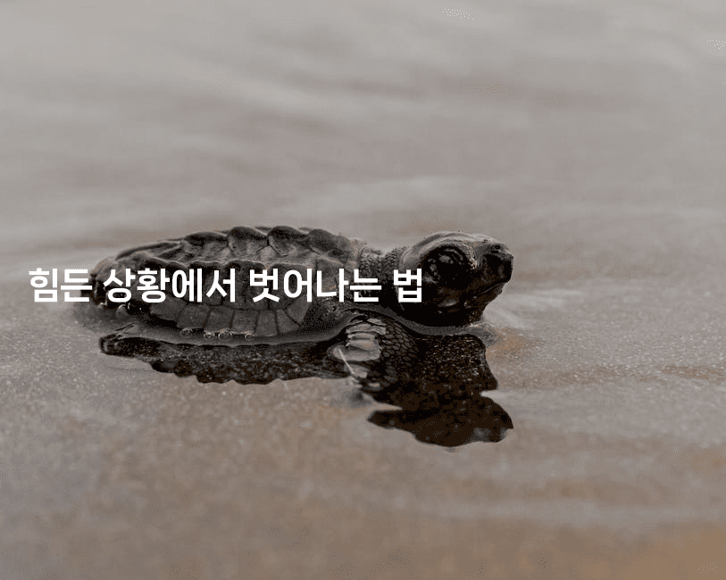 힘든 상황에서 벗어나는 법-비건키친