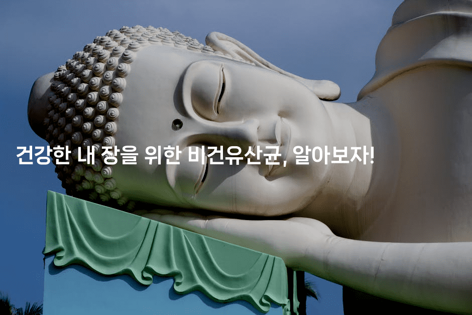 건강한 내 장을 위한 비건유산균, 알아보자!-비건키친