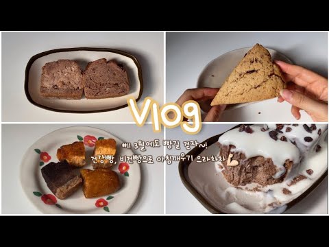 빵vlog?)유지어터의 건강빵?, 비건빵으로 아침깨우기✨ (머드스콘, 다앤하베이커리, 머드 비밀 팥파운드, 황치즈 칙피스콘, 비건 크럼블, 비건빵택배)