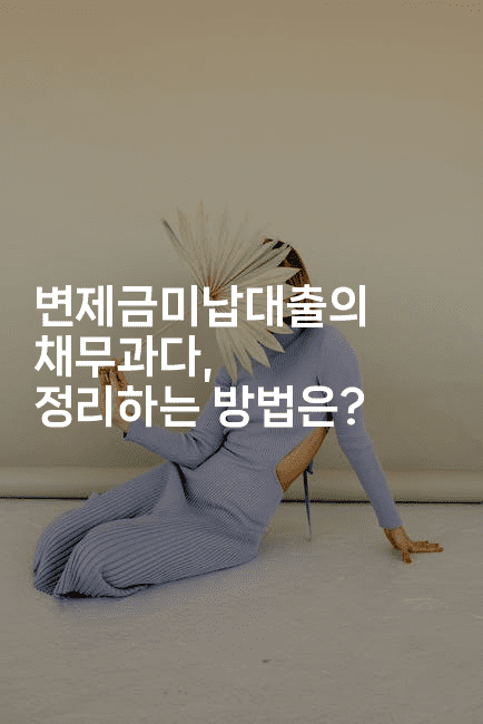 변제금미납대출의 채무과다, 정리하는 방법은?-비건키친