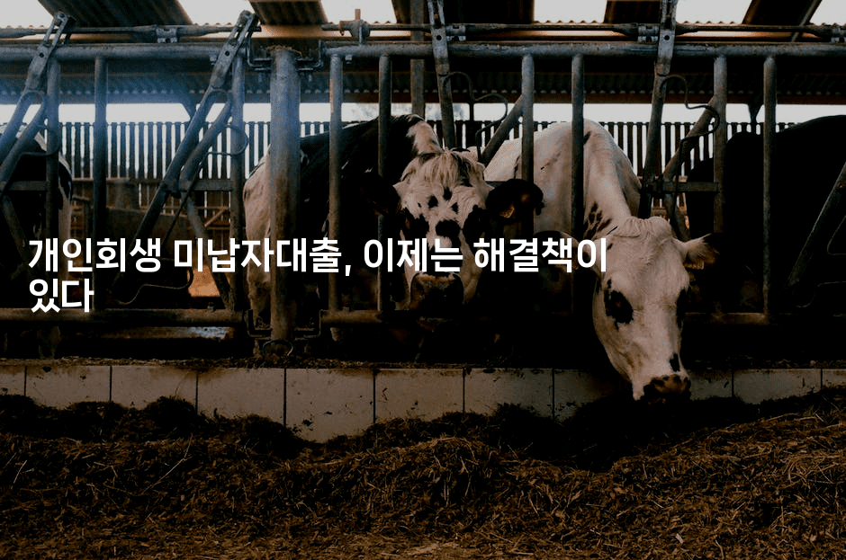 개인회생 미납자대출, 이제는 해결책이 있다